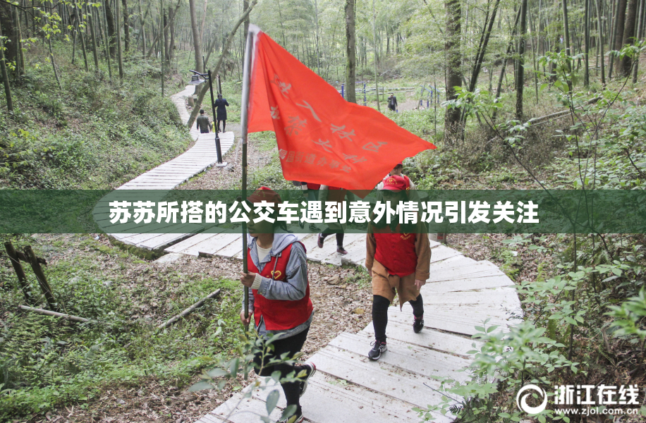 苏苏所搭的公交车遇到意外情况引发关注