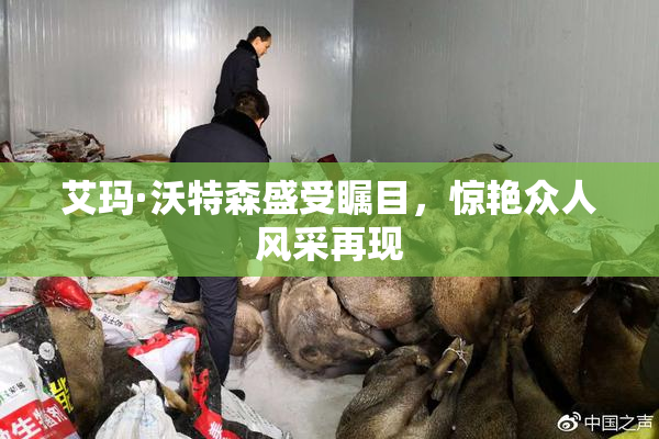 艾玛·沃特森盛受瞩目，惊艳众人风采再现