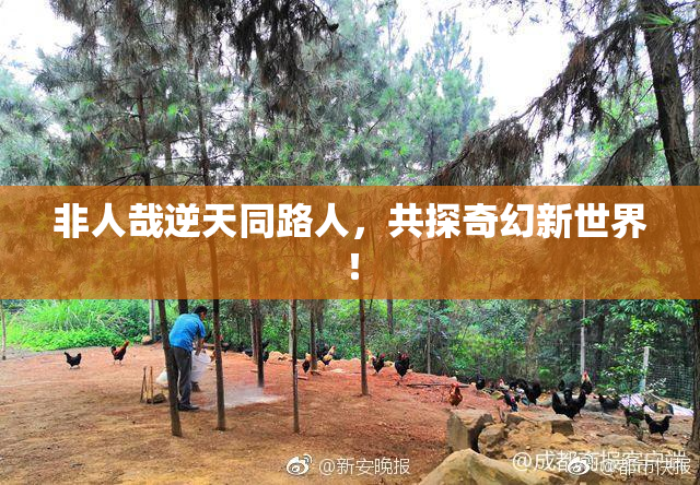 非人哉逆天同路人，共探奇幻新世界！