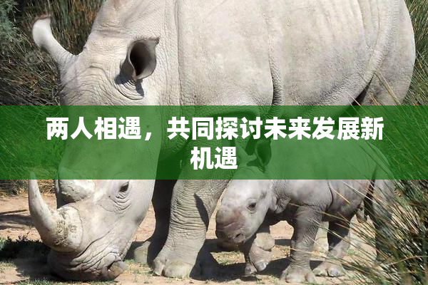 两人相遇，共同探讨未来发展新机遇