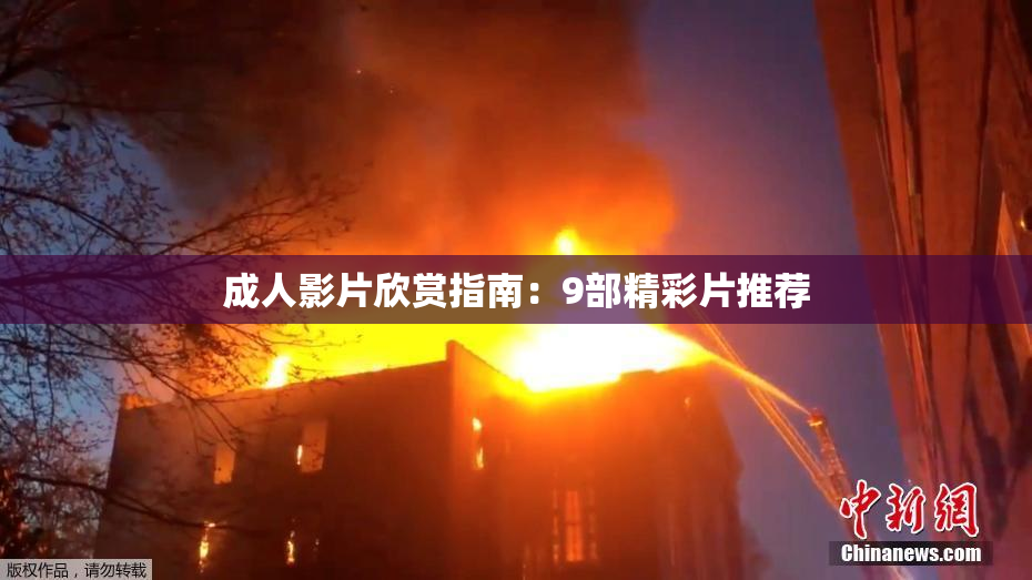 成人影片欣赏指南：9部精彩片推荐