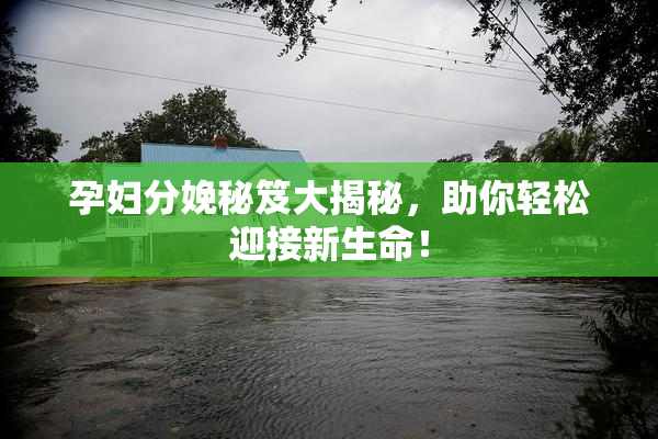孕妇分娩秘笈大揭秘，助你轻松迎接新生命！