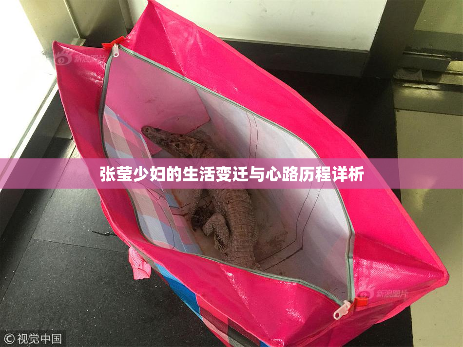 张莹少妇的生活变迁与心路历程详析