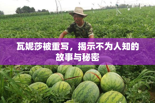 瓦妮莎被重写，揭示不为人知的故事与秘密