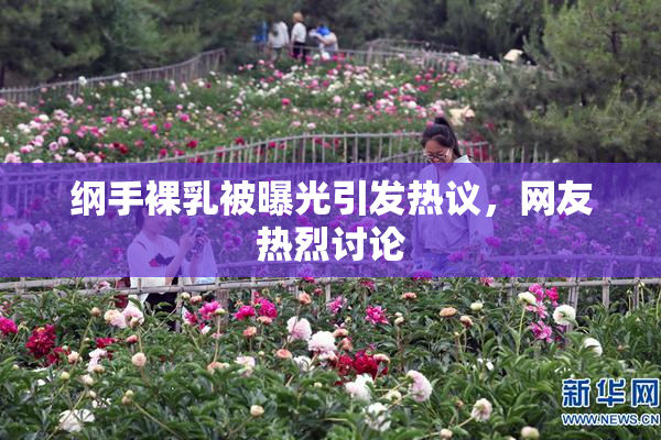 纲手裸乳被曝光引发热议，网友热烈讨论