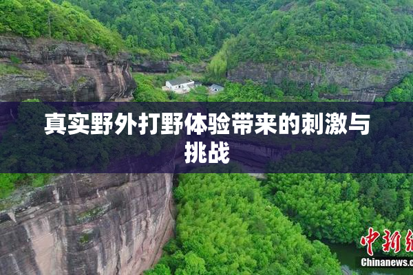 真实野外打野体验带来的刺激与挑战