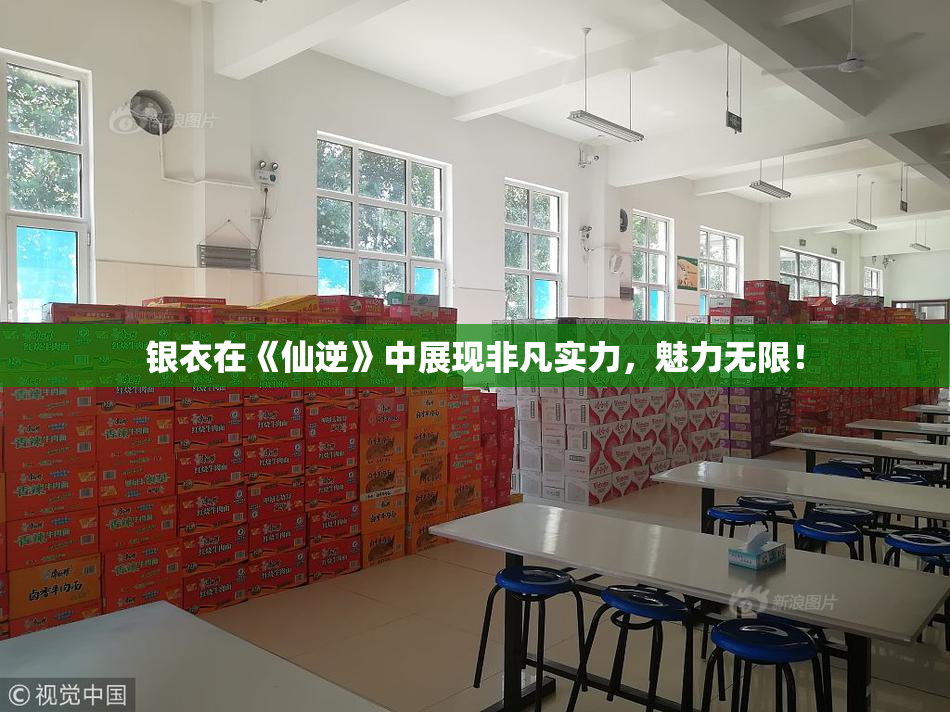 银衣在《仙逆》中展现非凡实力，魅力无限！
