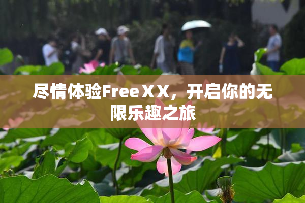 尽情体验FreeⅩX，开启你的无限乐趣之旅