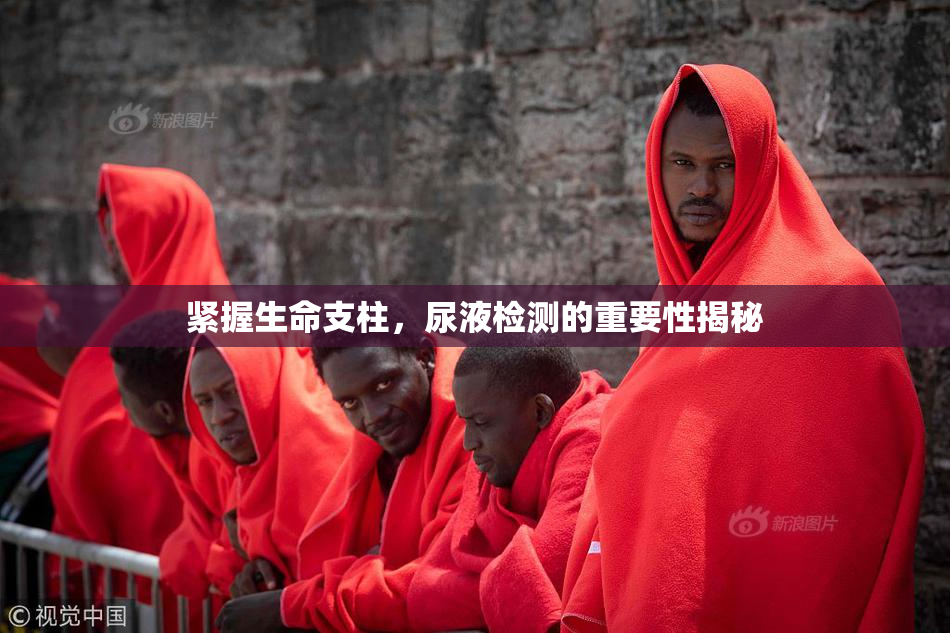 紧握生命支柱，尿液检测的重要性揭秘