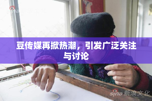 豆传媒再掀热潮，引发广泛关注与讨论