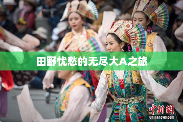 田野忧愁的无尽大A之旅