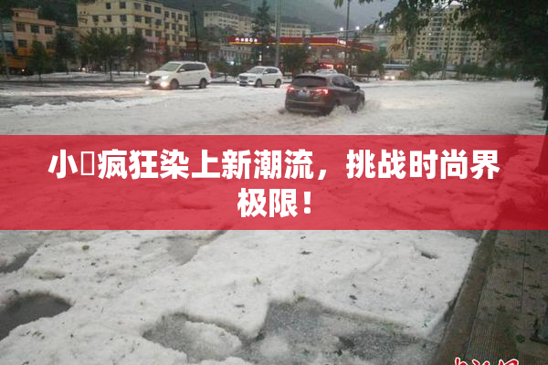 小泬疯狂染上新潮流，挑战时尚界极限！