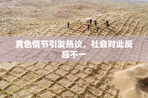 黄色情节引发热议，社会对此反应不一