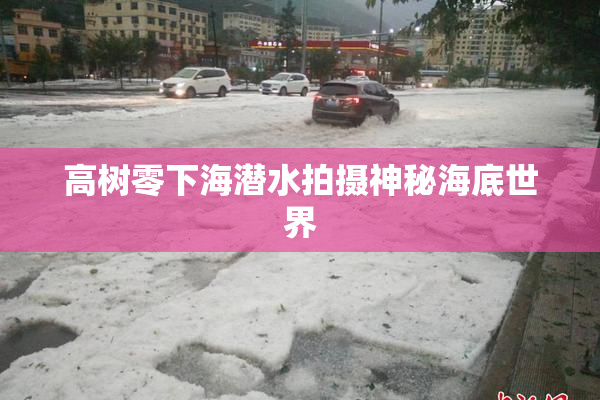 高树零下海潜水拍摄神秘海底世界