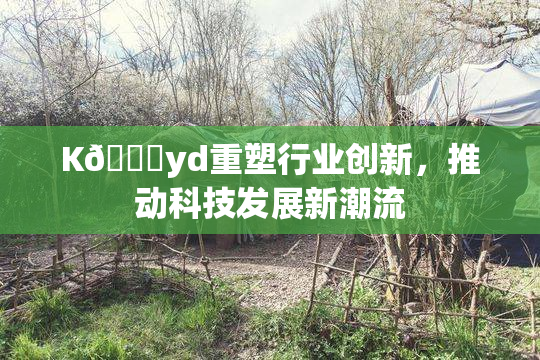 K🈚yd重塑行业创新，推动科技发展新潮流