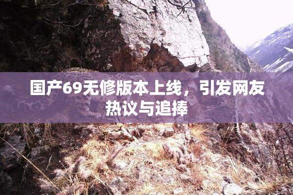 国产69无修版本上线，引发网友热议与追捧