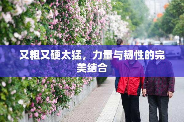 又粗又硬太猛，力量与韧性的完美结合