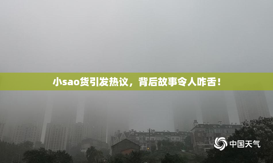 小sao货引发热议，背后故事令人咋舌！