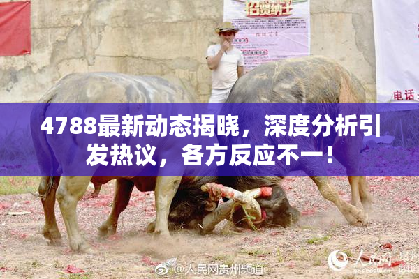 4788最新动态揭晓，深度分析引发热议，各方反应不一！