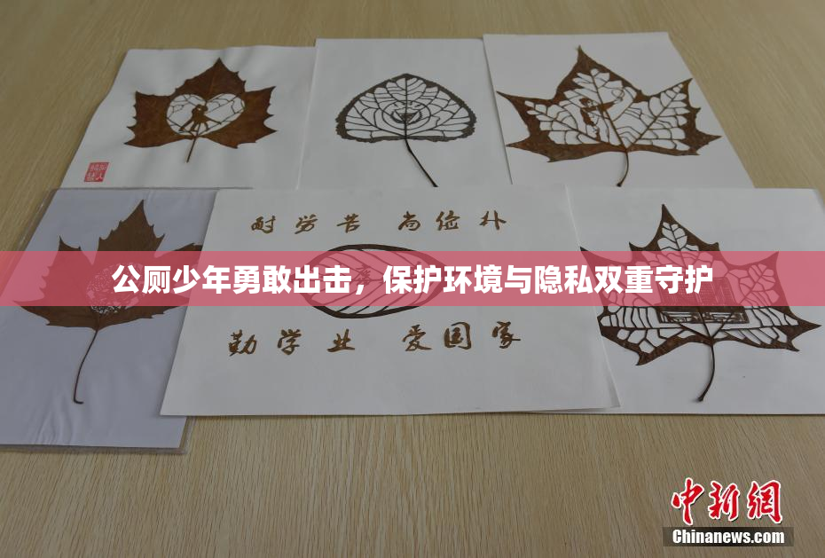 公厕少年勇敢出击，保护环境与隐私双重守护