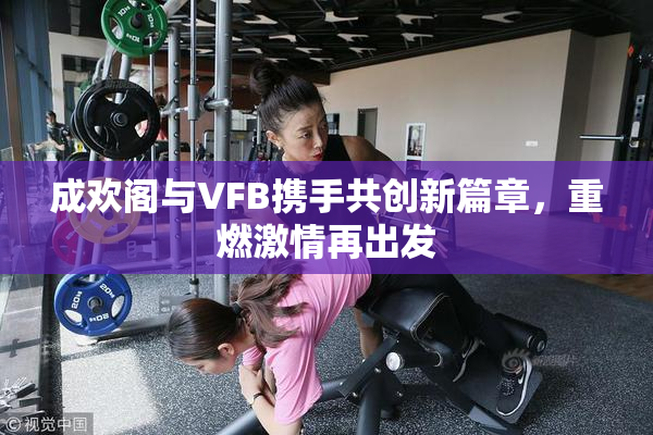 成欢阁与VFB携手共创新篇章，重燃激情再出发