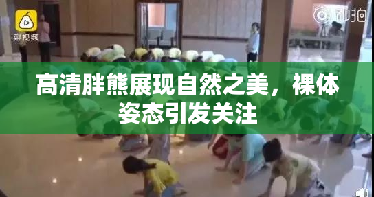 高清胖熊展现自然之美，裸体姿态引发关注