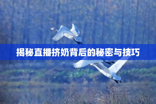 揭秘直播挤奶背后的秘密与技巧