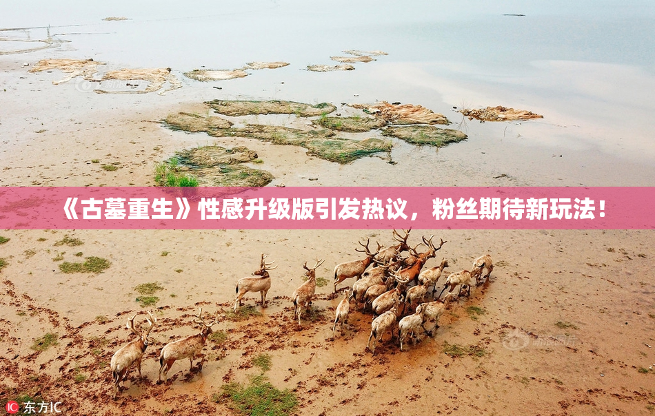 《古墓重生》性感升级版引发热议，粉丝期待新玩法！