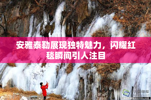 安雅泰勒展现独特魅力，闪耀红毯瞬间引人注目