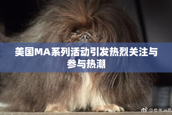 美国MA系列活动引发热烈关注与参与热潮