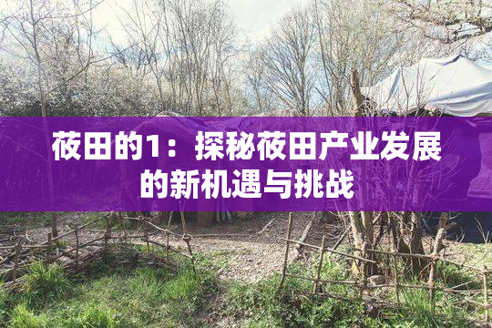 莜田的1：探秘莜田产业发展的新机遇与挑战