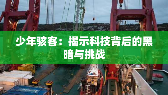 少年骇客：揭示科技背后的黑暗与挑战