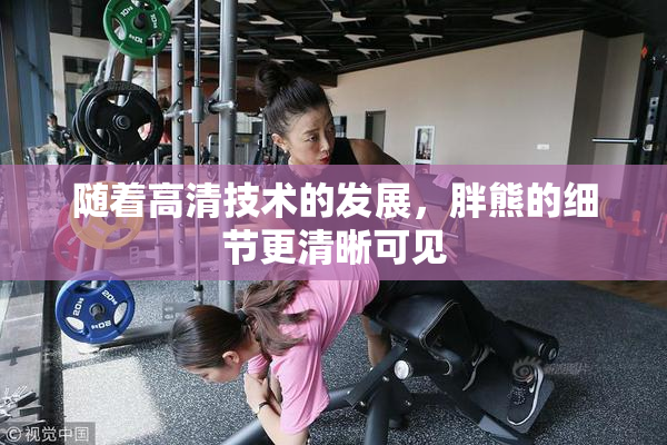 随着高清技术的发展，胖熊的细节更清晰可见