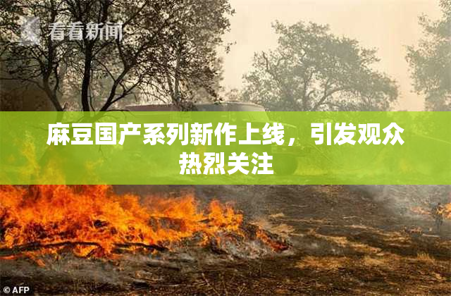 麻豆国产系列新作上线，引发观众热烈关注