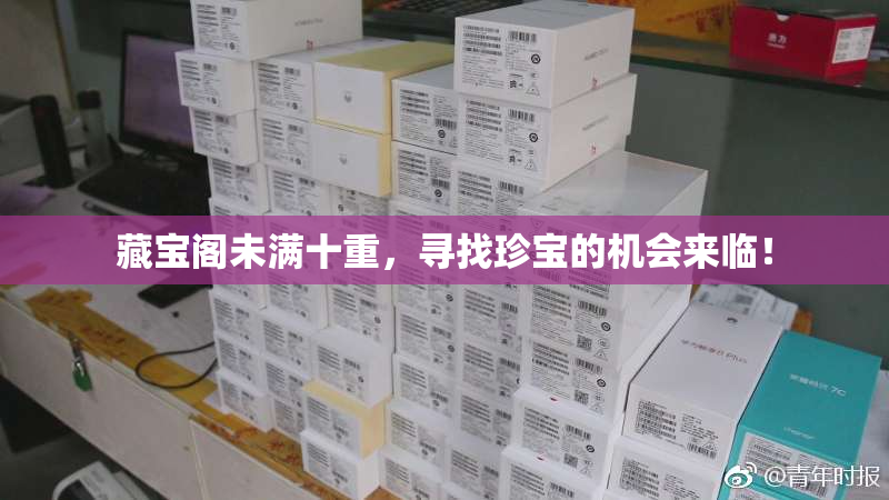 藏宝阁未满十重，寻找珍宝的机会来临！