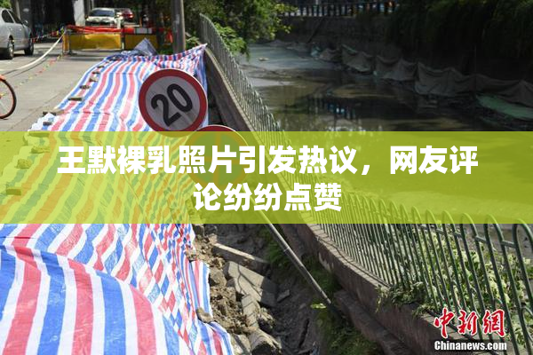 王默裸乳照片引发热议，网友评论纷纷点赞