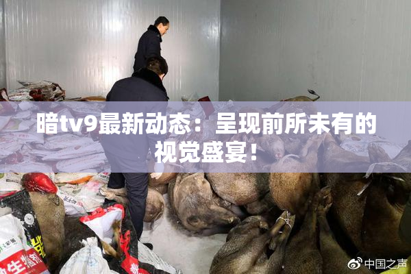 暗tv9最新动态：呈现前所未有的视觉盛宴！