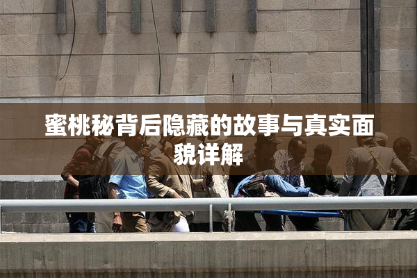 蜜桃秘背后隐藏的故事与真实面貌详解