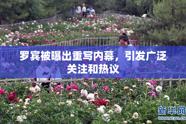 罗宾被曝出重写内幕，引发广泛关注和热议
