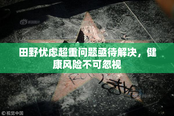田野忧虑超重问题亟待解决，健康风险不可忽视