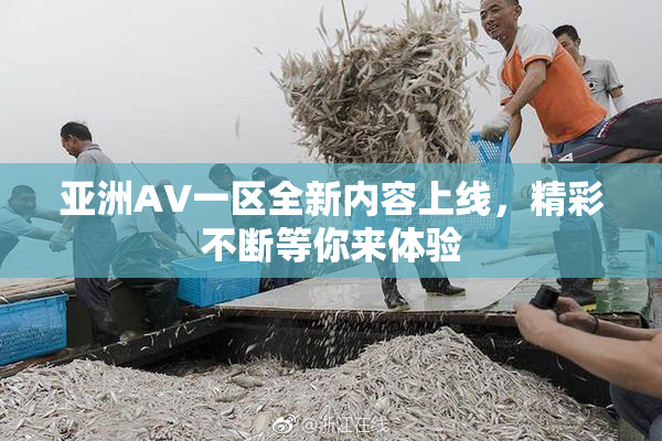 亚洲AV一区全新内容上线，精彩不断等你来体验