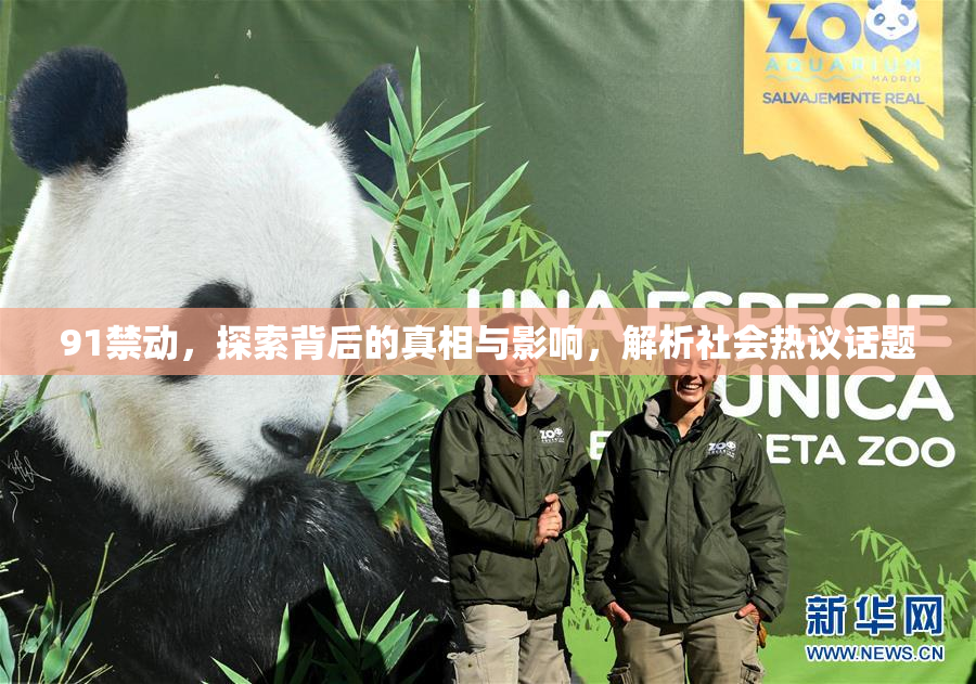 91禁动，探索背后的真相与影响，解析社会热议话题