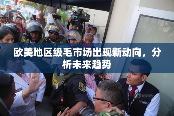 欧美地区级毛市场出现新动向，分析未来趋势