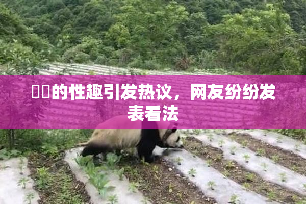 妺妺的性趣引发热议，网友纷纷发表看法