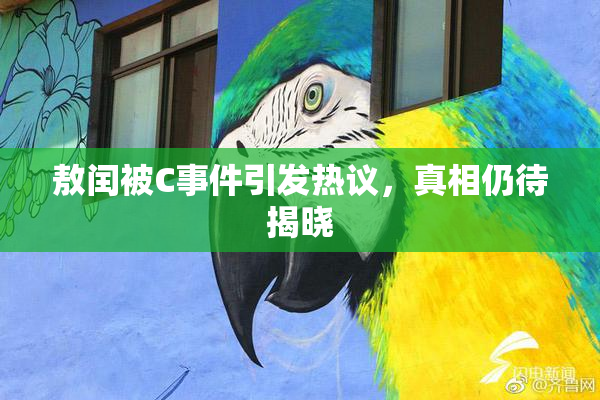 敖闰被C事件引发热议，真相仍待揭晓