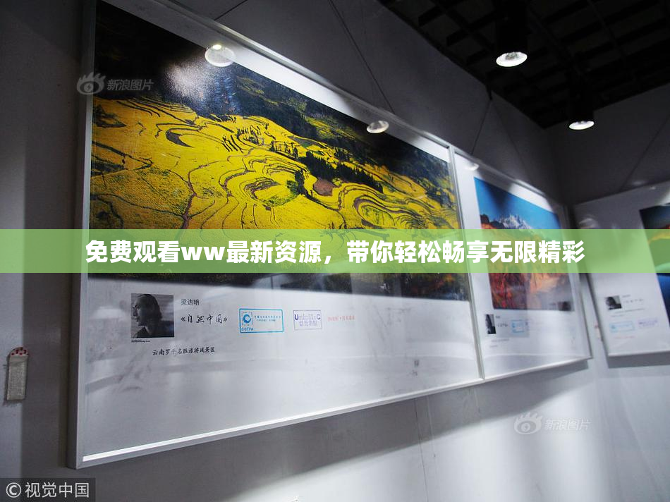 免费观看ww最新资源，带你轻松畅享无限精彩