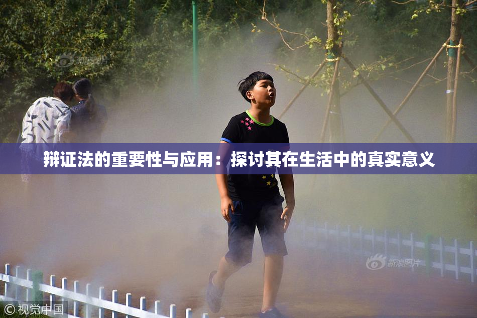 辩证法的重要性与应用：探讨其在生活中的真实意义