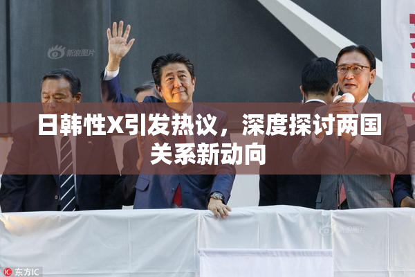 日韩性X引发热议，深度探讨两国关系新动向