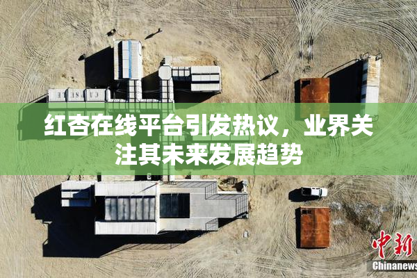 红杏在线平台引发热议，业界关注其未来发展趋势