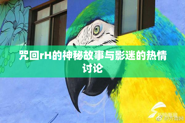 咒回rH的神秘故事与影迷的热情讨论